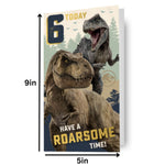 Age 6 Birthday Card Official Product