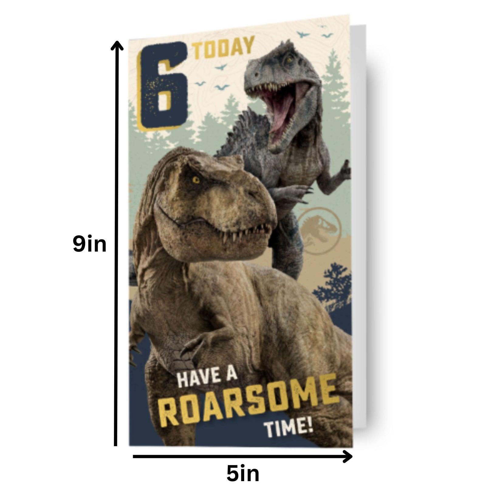 Age 6 Birthday Card Official Product