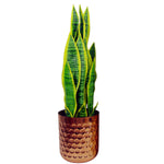Honeycomb Metal Planter - Copper - 18cm X 15.5cm