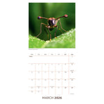 2026 Square Calendar Official Product