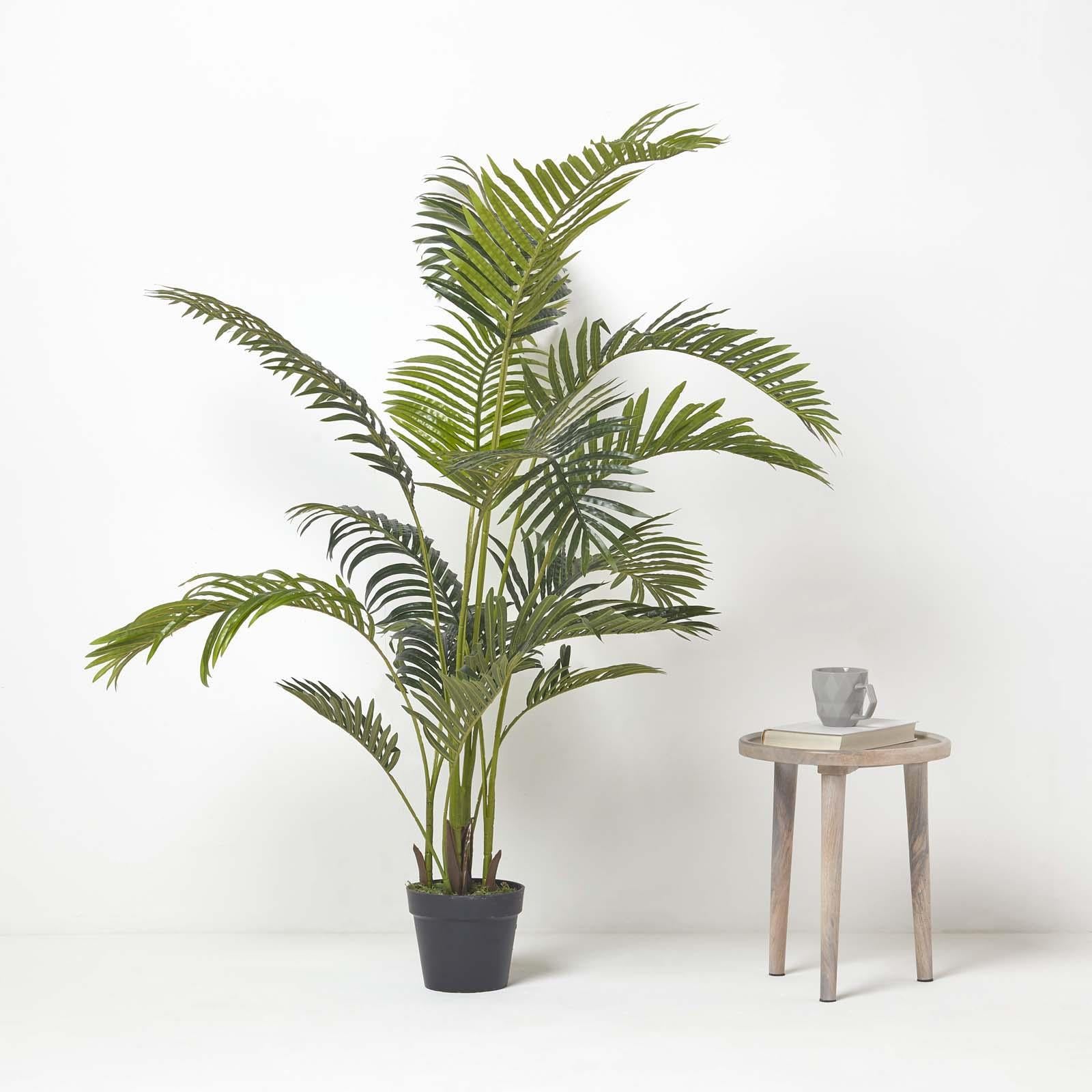 Areca Palm Tree In Pot | 160cm | Green