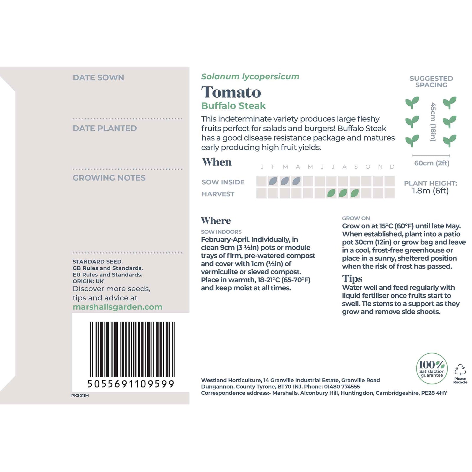 Tomato 'buffalo Steak' Seeds | 10 Seeds