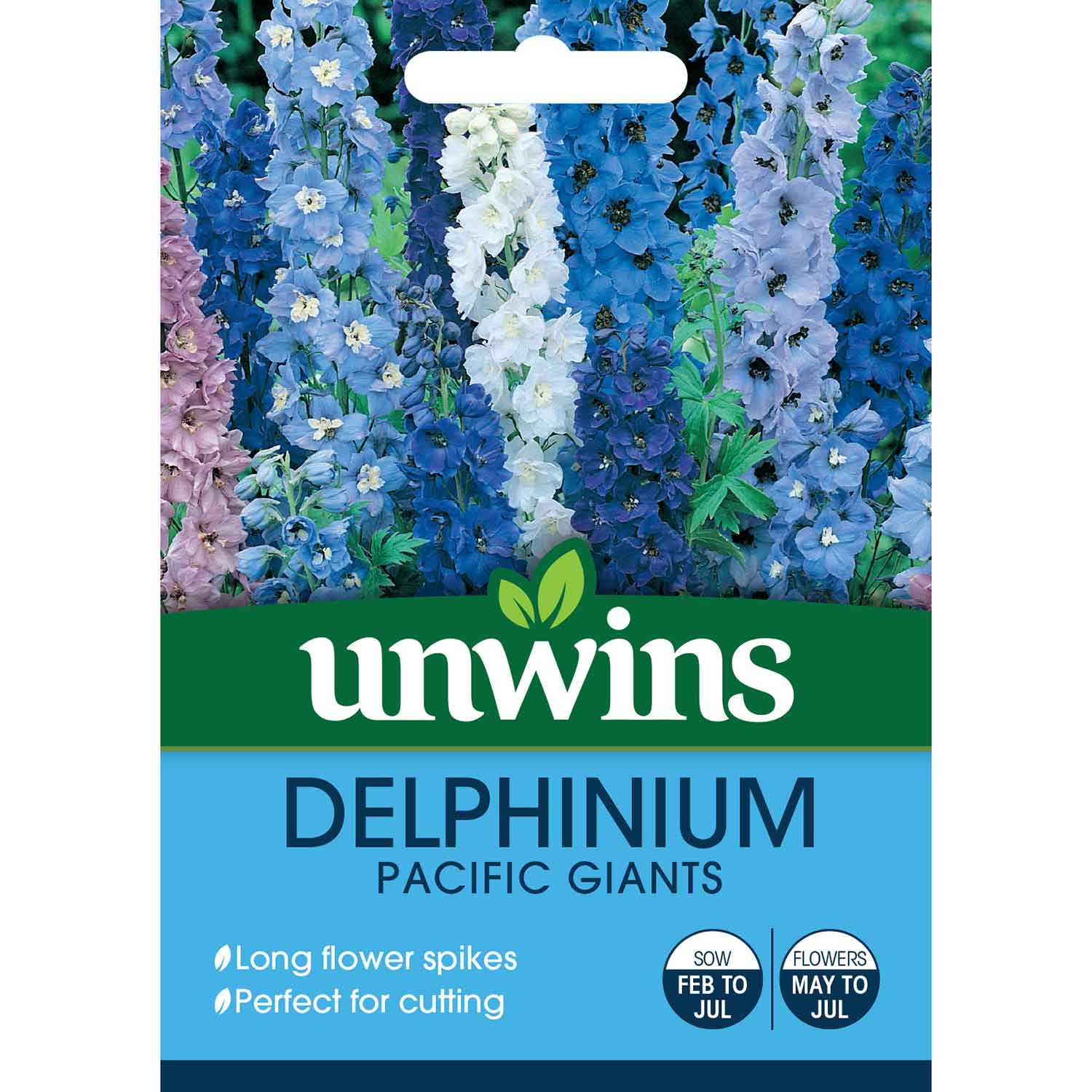 Delphinium Seeds Pacific Giants Seeds | 120 Seeds