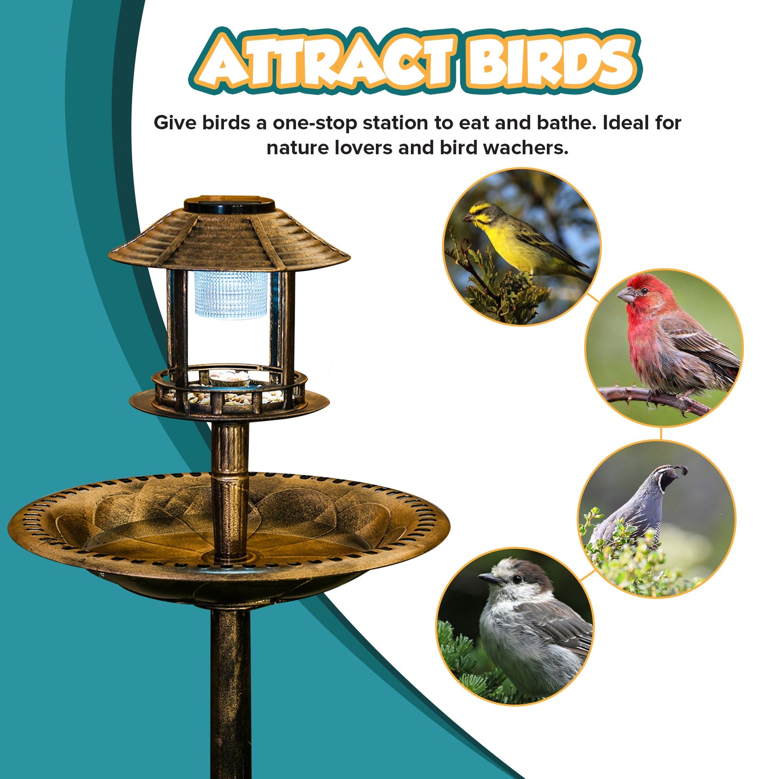 Bird Solar Light Bird Bath & Planter