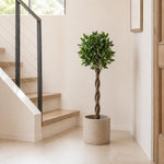 120cm  Design Uk Artificial Realistic Bay Laurel Topiary Ball Tree