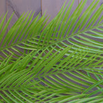 Pack Of 12 X 120cm Artificial Hanging Palm Plant