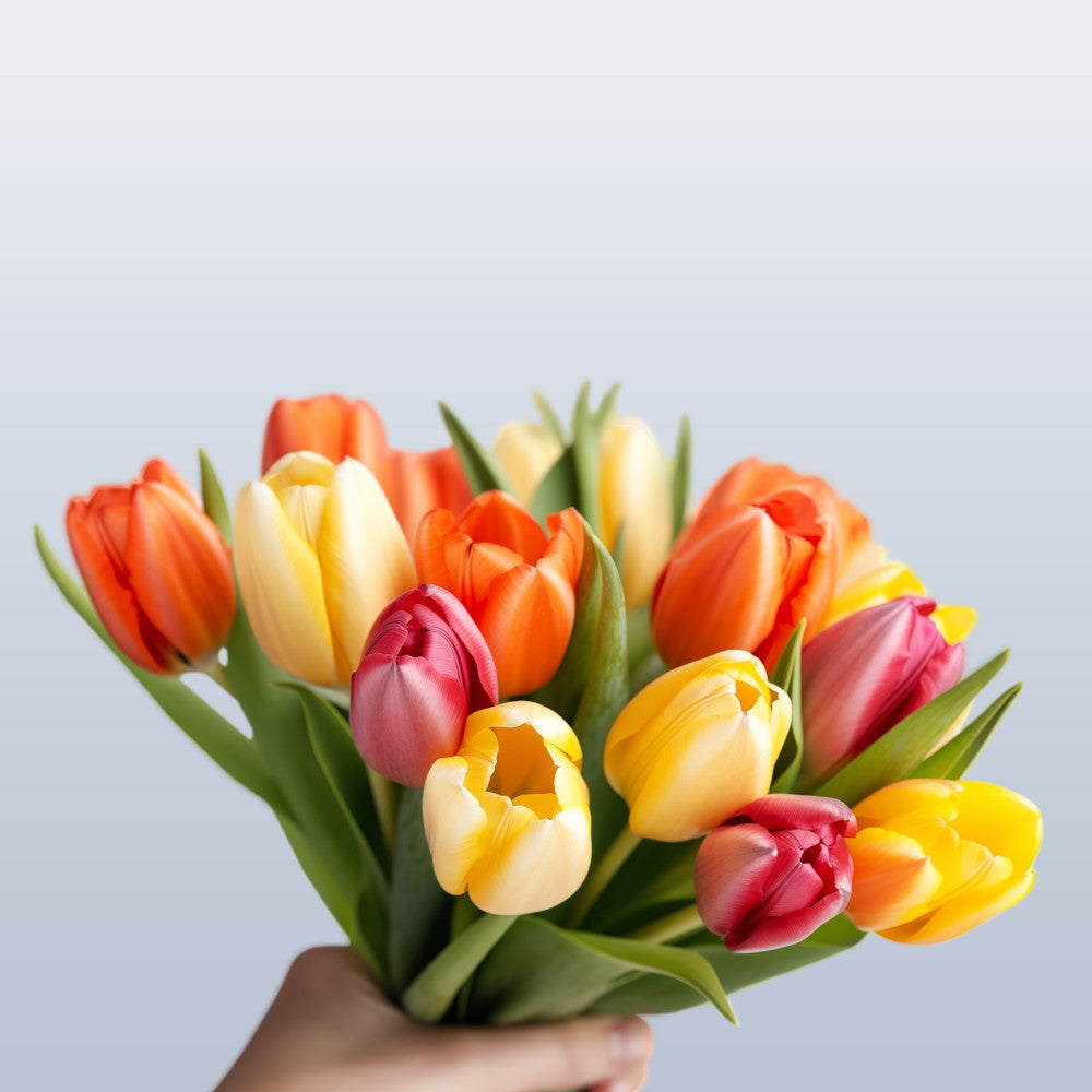 Hayloft Tulip Tropical Sunset Mix - 30 Bulbs