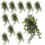 12 X 70cm Uv Resistant Artificial Geranium Bush