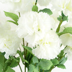 6 X 70cm White Artificial Carnation Stem - 24 Flowers