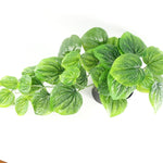 35cm Artificial Trailing Green Potted Pothos Plant