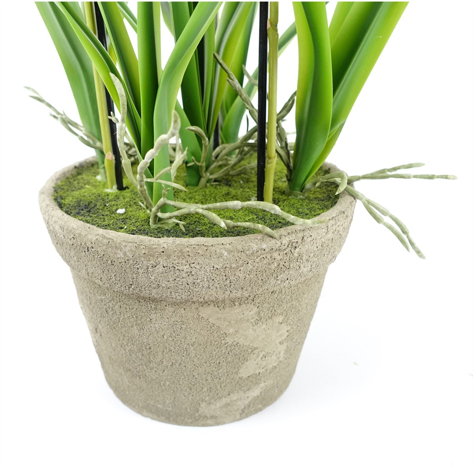 Artificial Orchid Yellow In Stoneware Planter Botanik