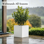 Zinc Galvanised Square Planter | 50cm x 50cm x 50cm | White