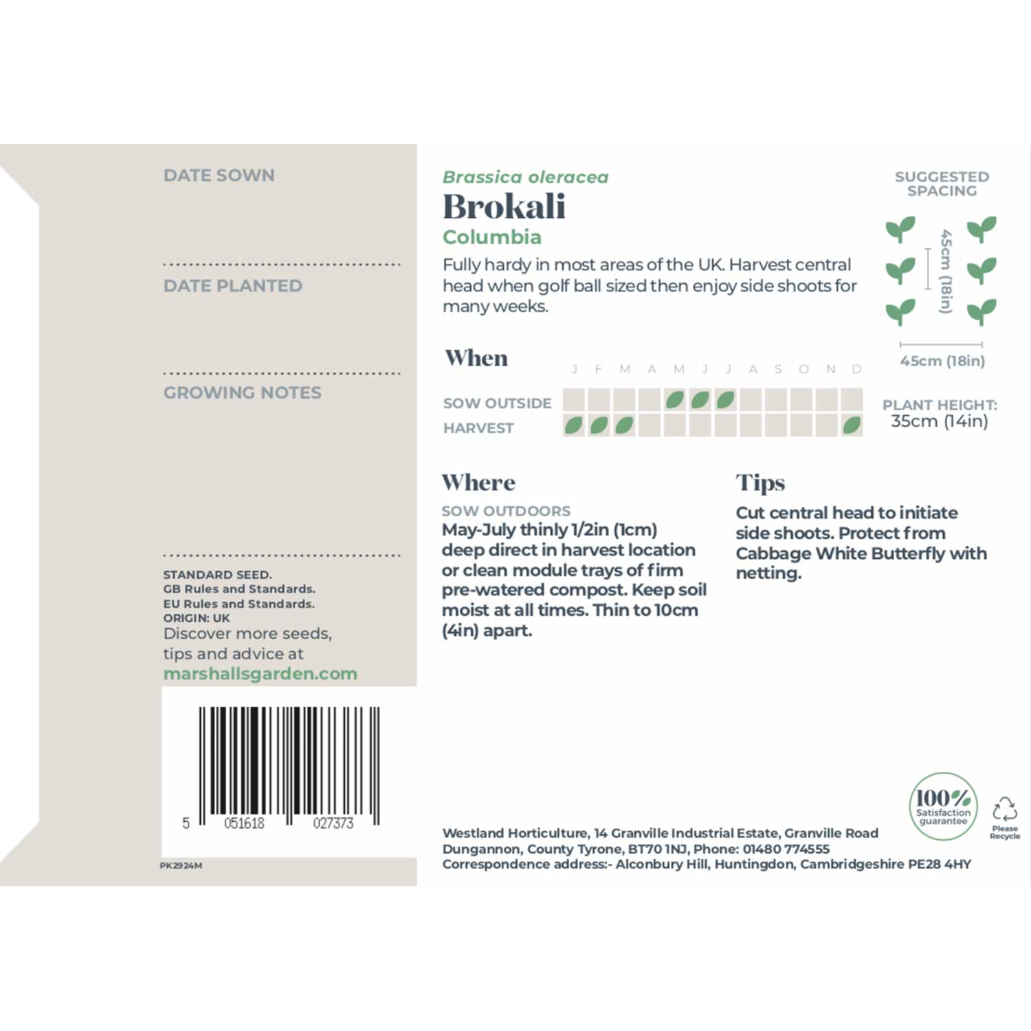 Brokali Seeds ‘columbia’ | 50 Seeds | Green