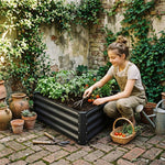 Breeins Triangular Galvanized Steel Raised Garden Bed Planter for Vegetables & Flowers