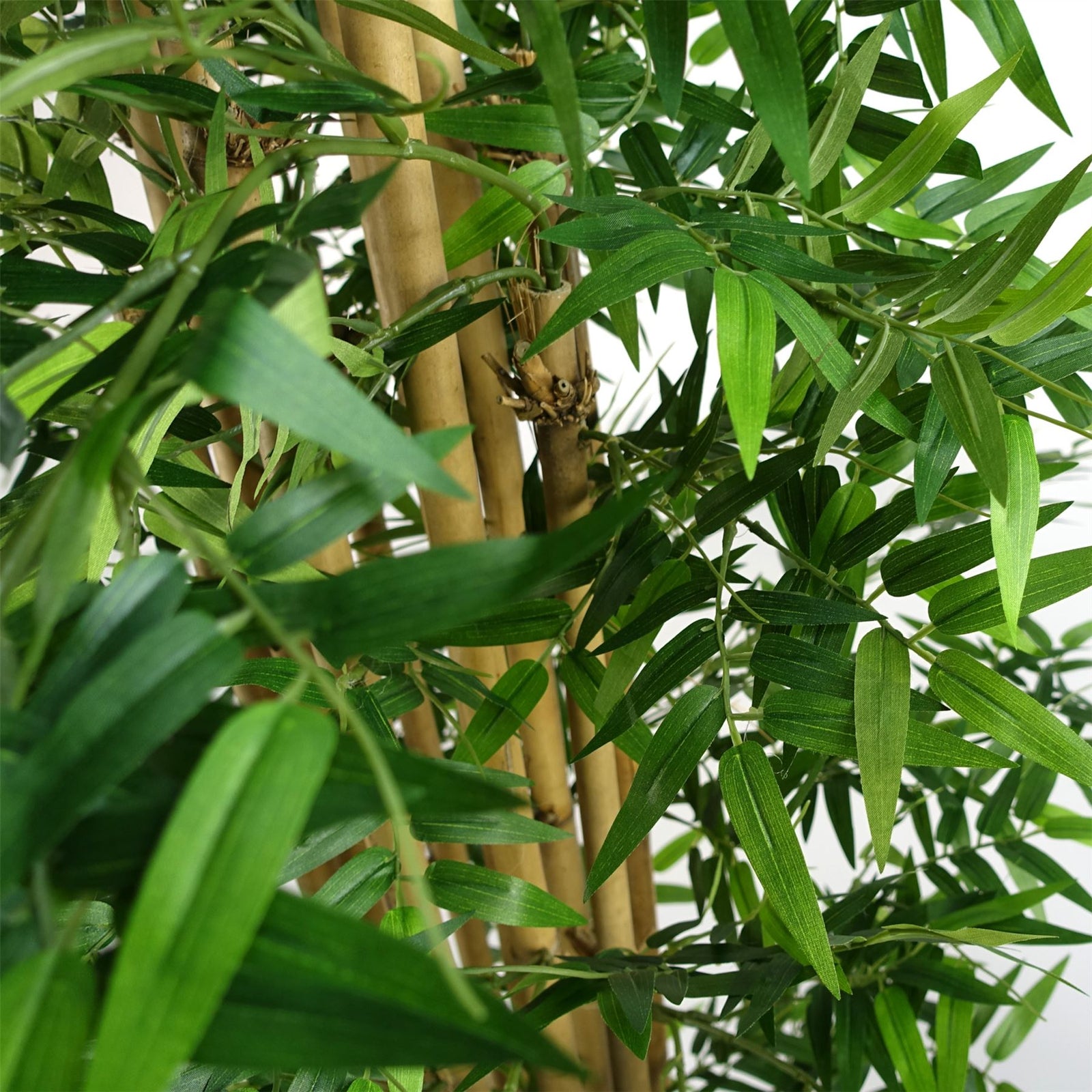 Artificial Oriental Bamboo Plant 150cm - Realistic Plant By Botanik