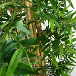 Artificial 150cm Oriental Bamboo Plant