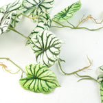 120cm Artificial Hanging Trailing Plant Alocasia Dragon Scale Light