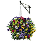 Pansy Universal Preplanted Hanging Basket | 14"