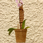 Grow Pole | 100cm