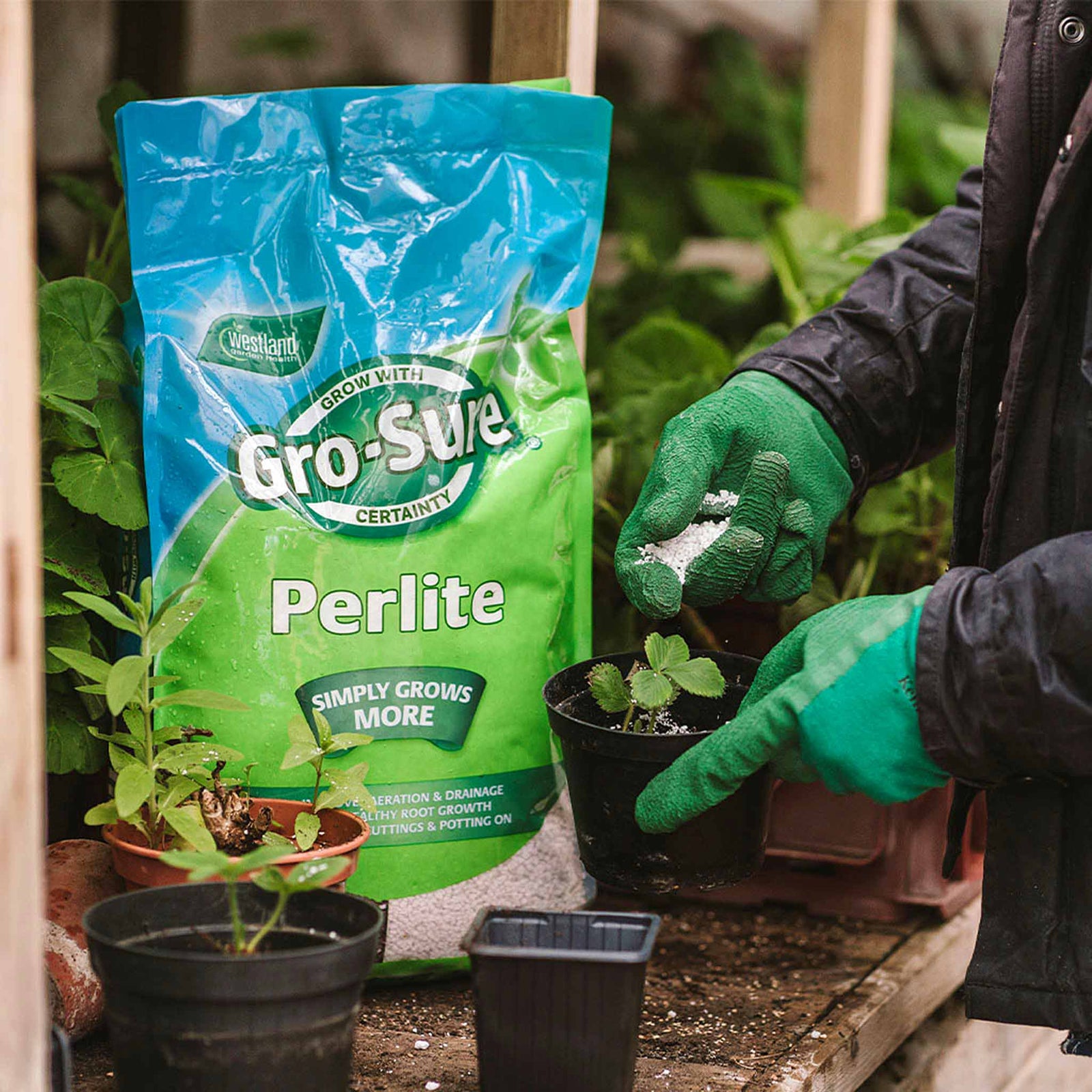 Perlite 10 Kg (2-5 Mm) Lightweight Volcanic Soil Improver | Set-of-1