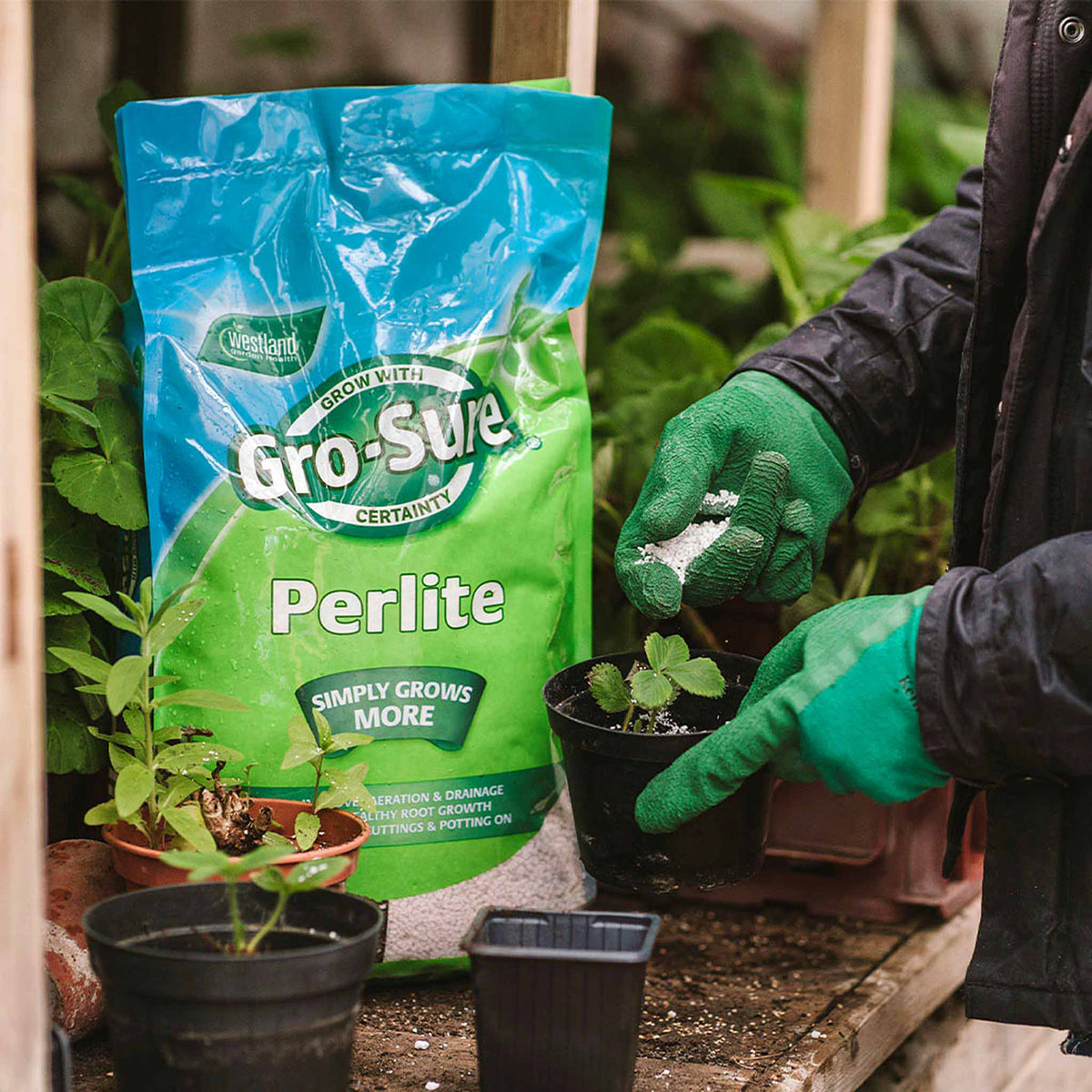 Perlite 10 Kg (2-5 Mm) Lightweight Volcanic Soil Improver | Set of 1