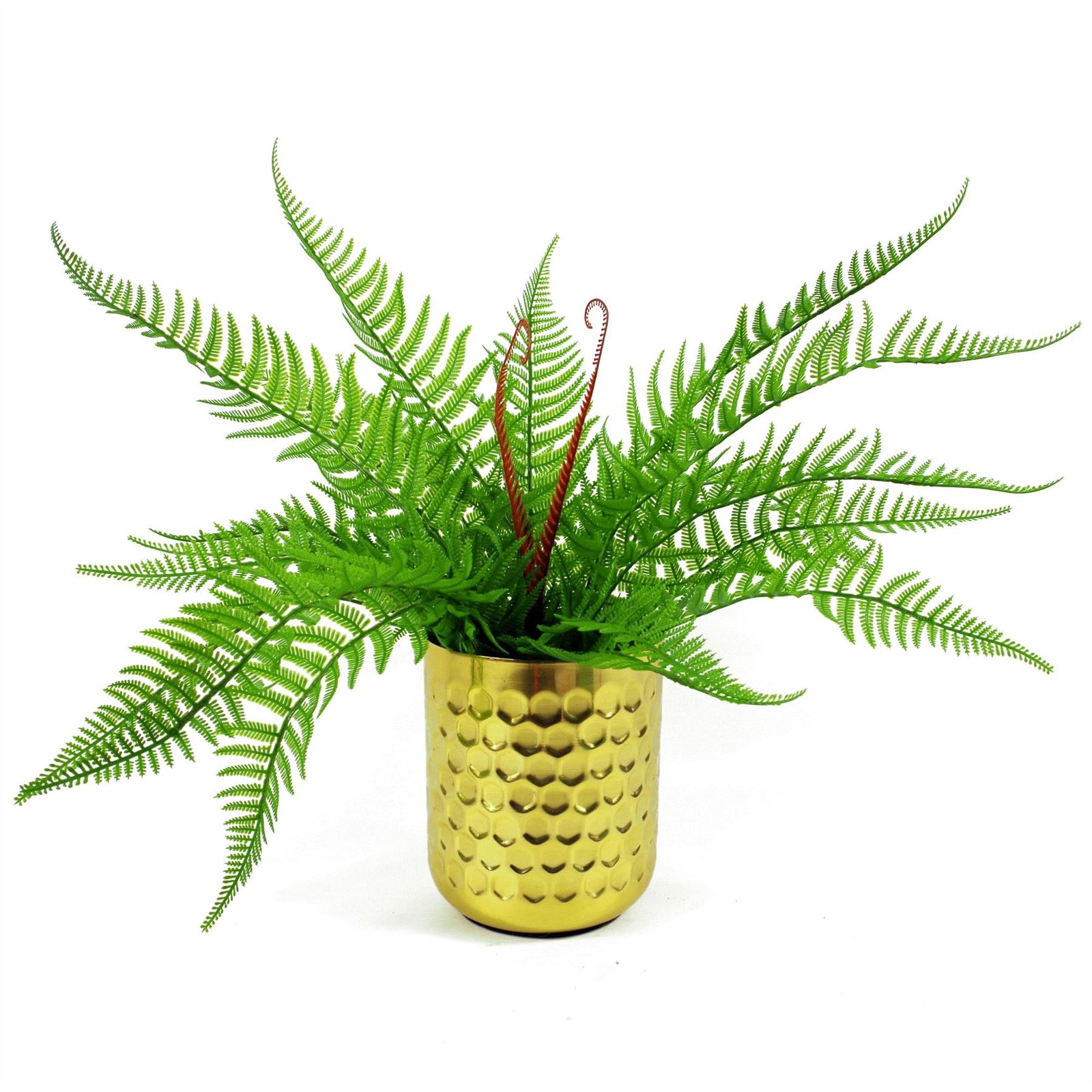 Artificial 60cm Bushy Dixie Wood Fern Dark Green Plant