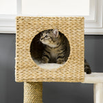 Cat Tree Kitten Tower Cattail Weave W/ Scratching Posts, Bed, House