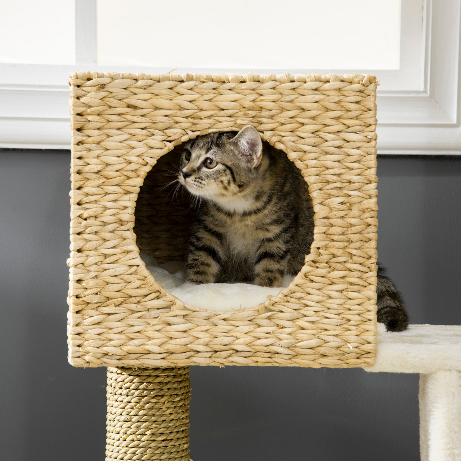 Cat Tree Kitten Tower Cattail Weave W/ Scratching Posts, Bed, House
