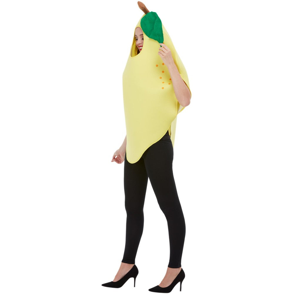 Lemon Costume