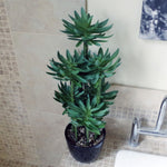 Artificial 60cm Tropical Yukka Palm Potted In Planter