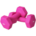 3kg Set Of 2 Dumbbells Hexagonal Weights Pair | Pink