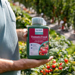 Liquid Tomato Feed | 1L