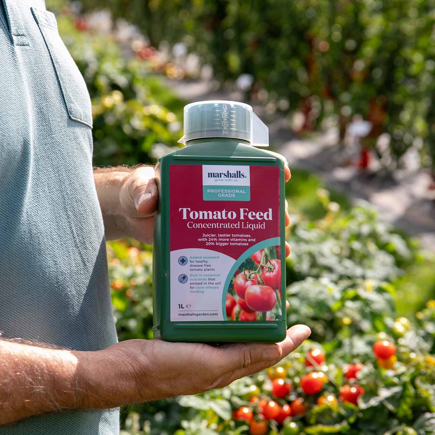 Liquid Tomato Feed | 1L