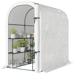 Walk-in Greenhouse Garden Plant Growhouse With Roll-up Door, White