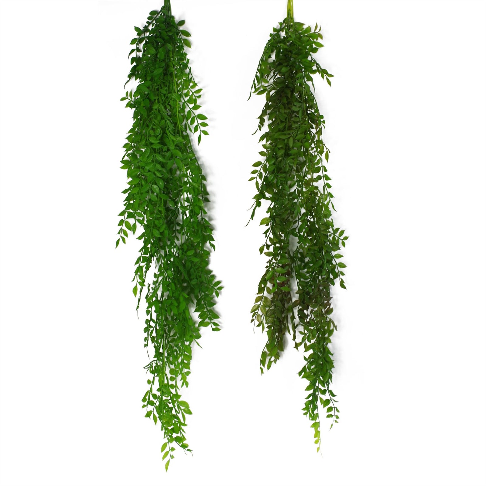 6 X 100cm Artificial Hanging String Of Pearls Fern Plant Dark Green