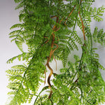 Artificial 100cm Hanging Maidenhair Fern Plant Dark Green