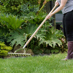Stainless Steel Scarifying Rake Ash Handle 10 Tines 15-year Guarantee
