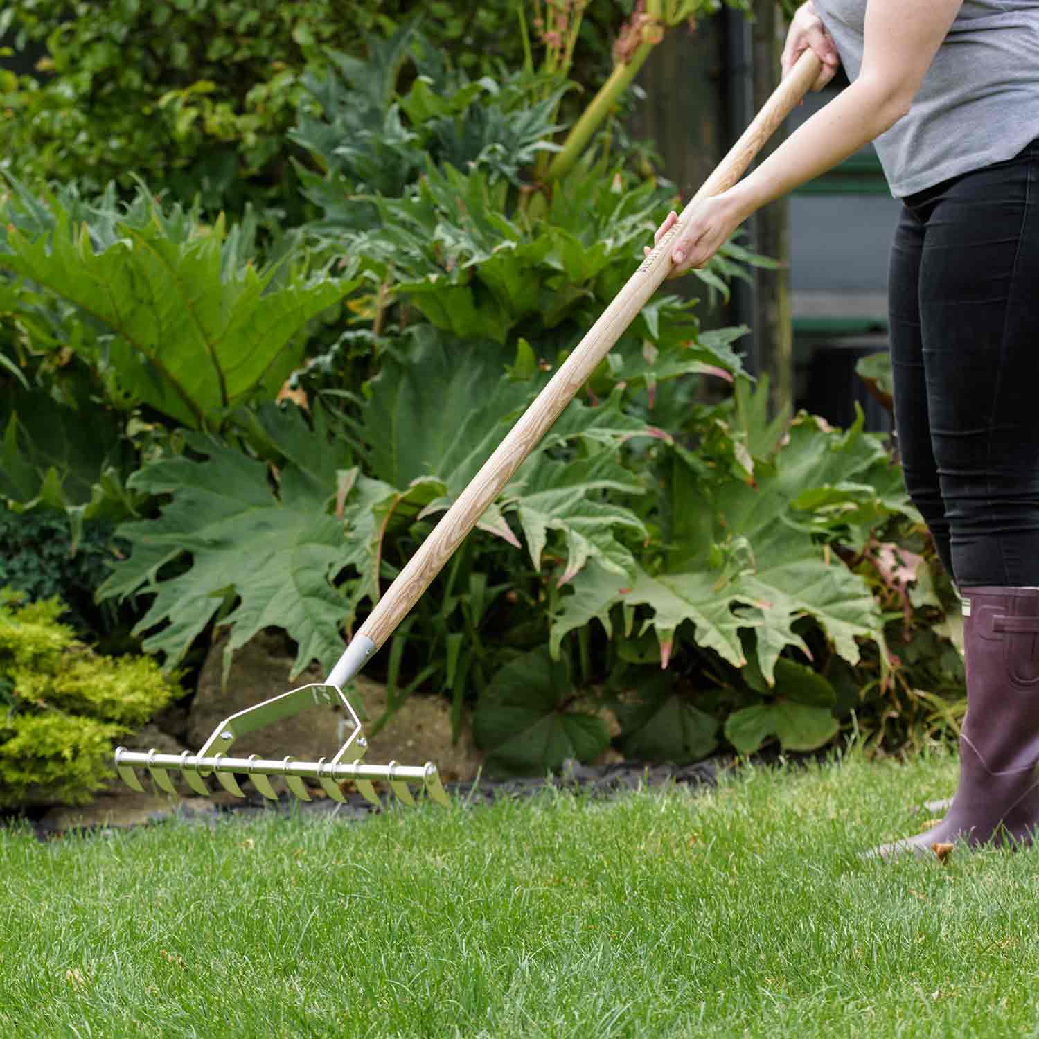 Stainless Steel Scarifying Rake Ash Handle 10 Tines 15-year Guarantee