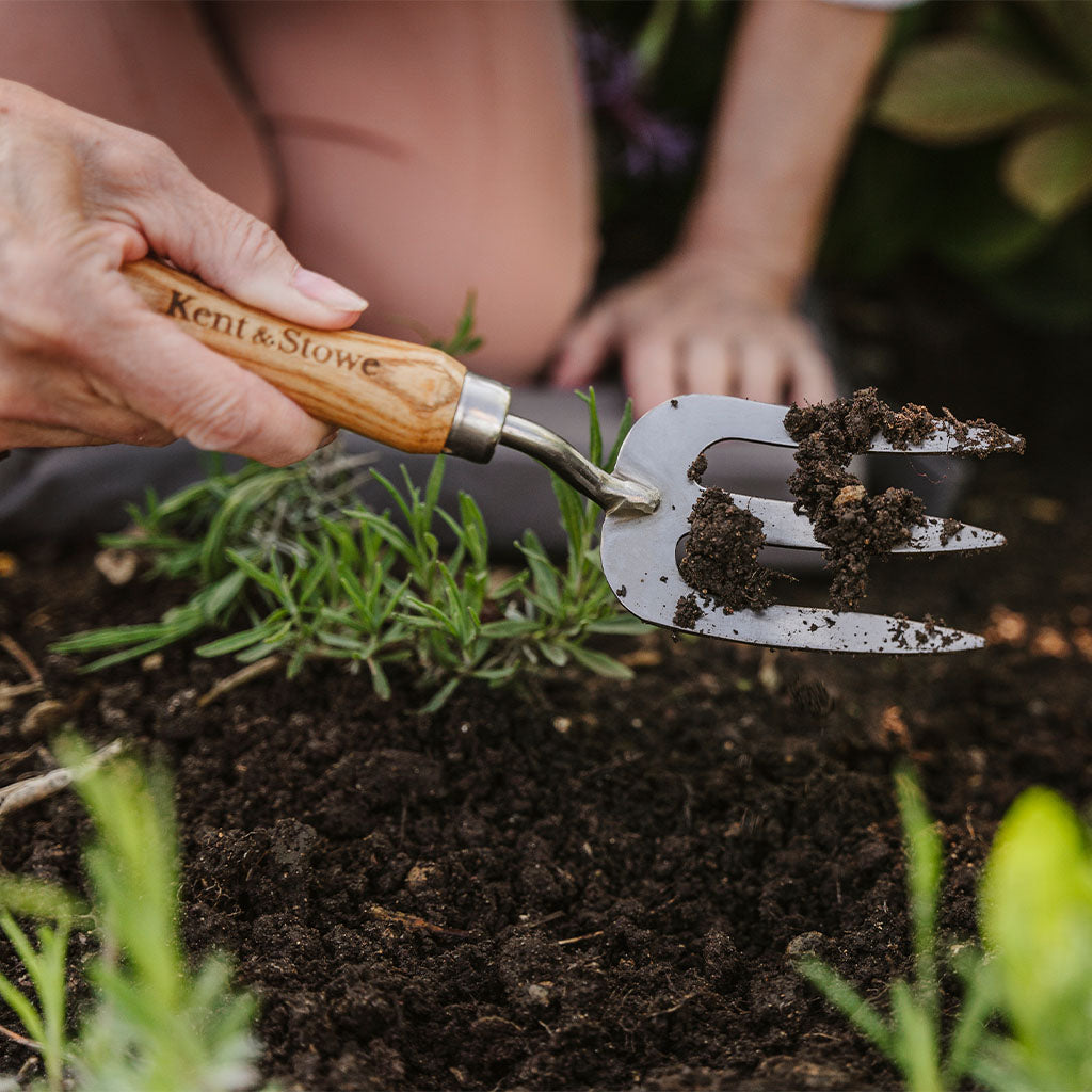 Garden Life Lightweight Stainless Steel Hand Fork