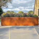 Corten Steel Trough Planter - Pre-rusted | 200cm x 50cm x 50cm | Brown