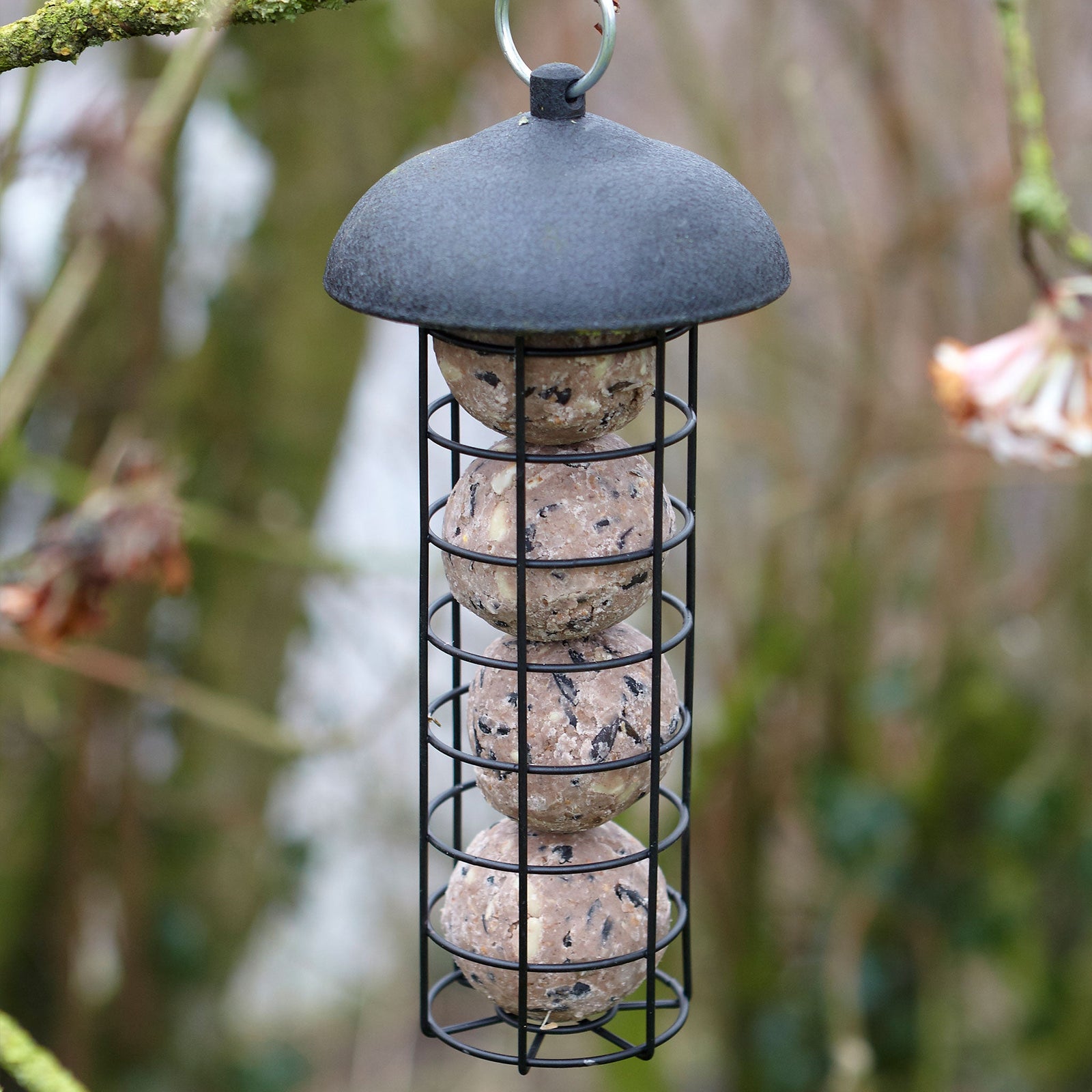 Steel Fat Snax Feeder, Antimicrobial Metal, Holds 4 Fat Snax | Black
