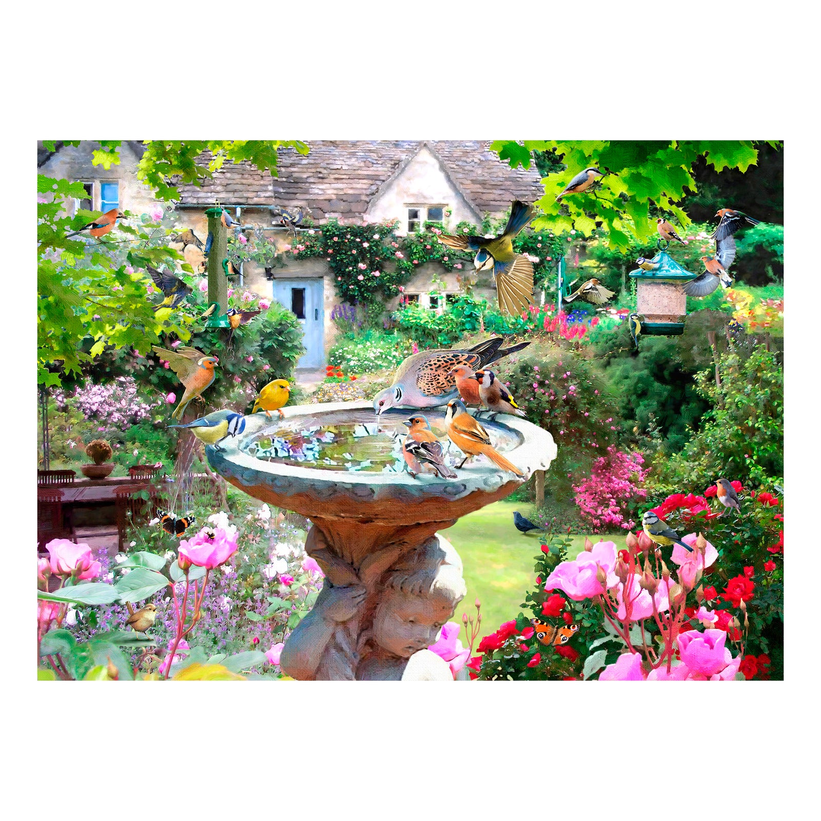 Summer Birds Jigsaw - 1000 Piece Jigsaw Puzzle For Adults