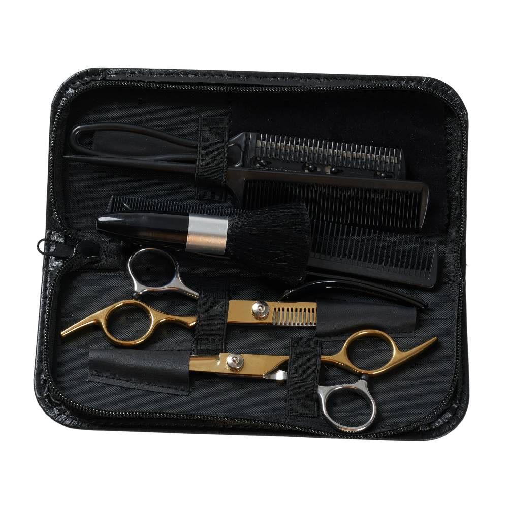 11-piece Hair Cutting Scissors Thinning Shears Set | Gold & Silver