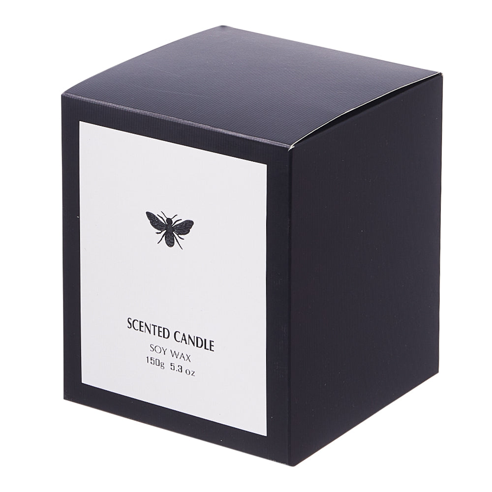 Soy Wax Scented Candle Sky Cypress Scent