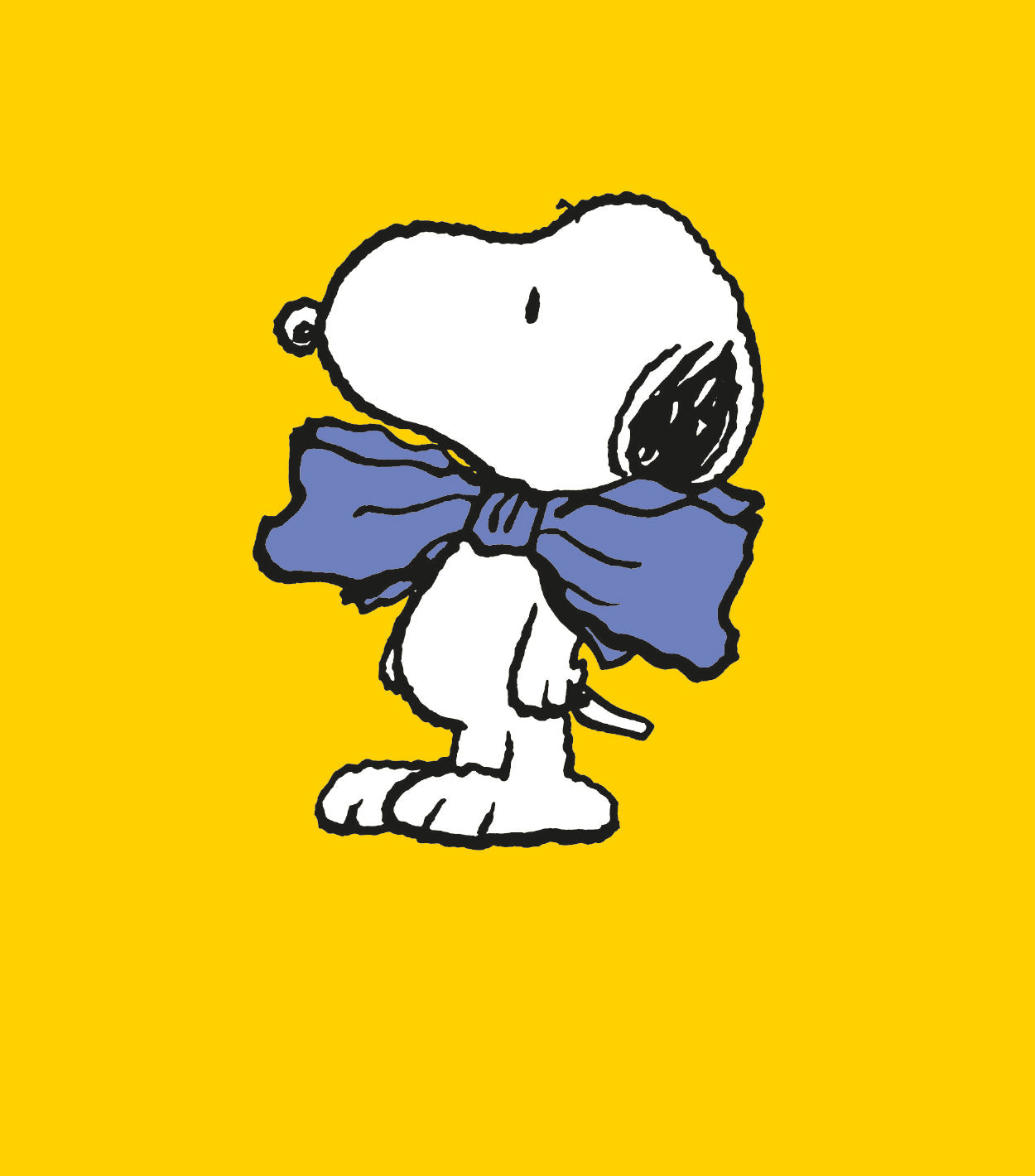 Peanuts Blank Card, Birthday, Valentines, Mother's Or Fathers Day Official Product