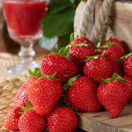 Flavoursome Strawberry Collection - Bare roots | Set of 60