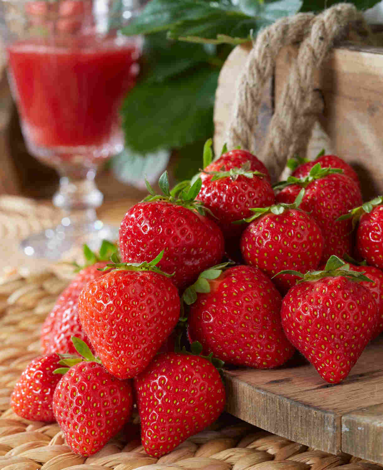 Flavoursome Strawberry Collection - Bare roots | Set of 60