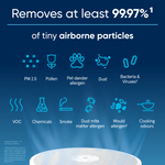 Mini Max Air Purifier - For Rooms Up To 20m2