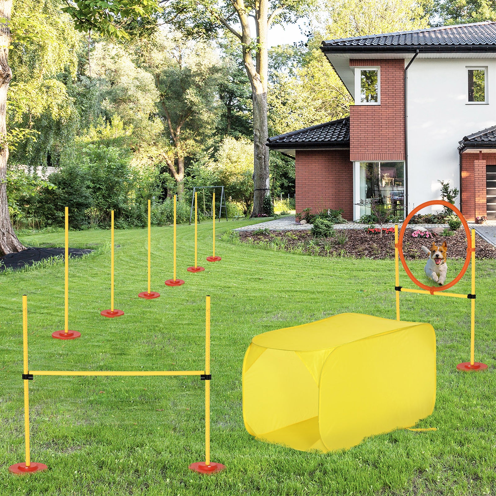 Outdoor 4 Pc Dog Pet Agility Training Garden Starter Obstacle Set For Dog