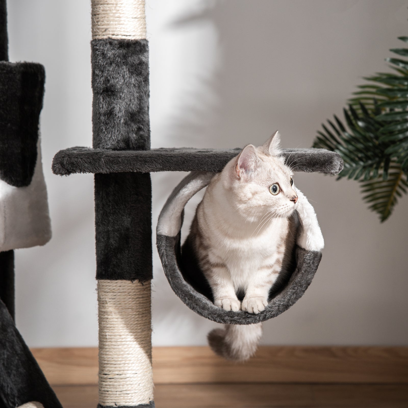 240-260cm Floor To Ceiling Cat Tree With Scratching Posts | White